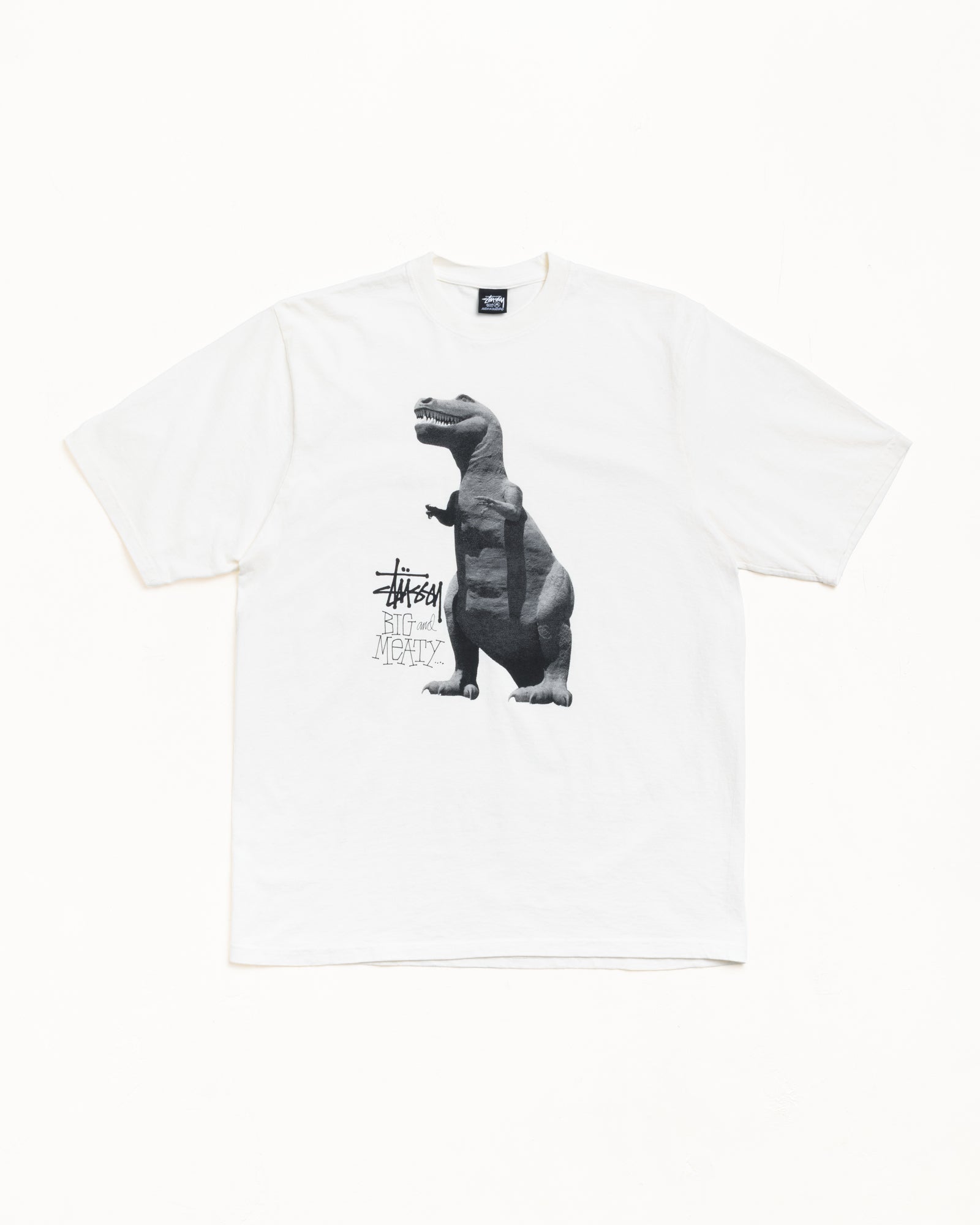 BIG & MEATY TEE PIGMENT DYED